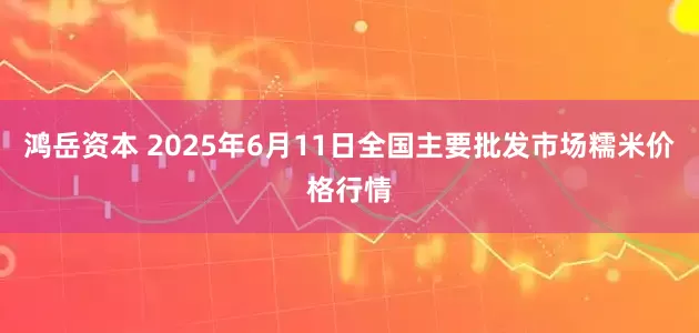 鸿岳资本 2025年6月11日全国主要批发市场糯米价格行情