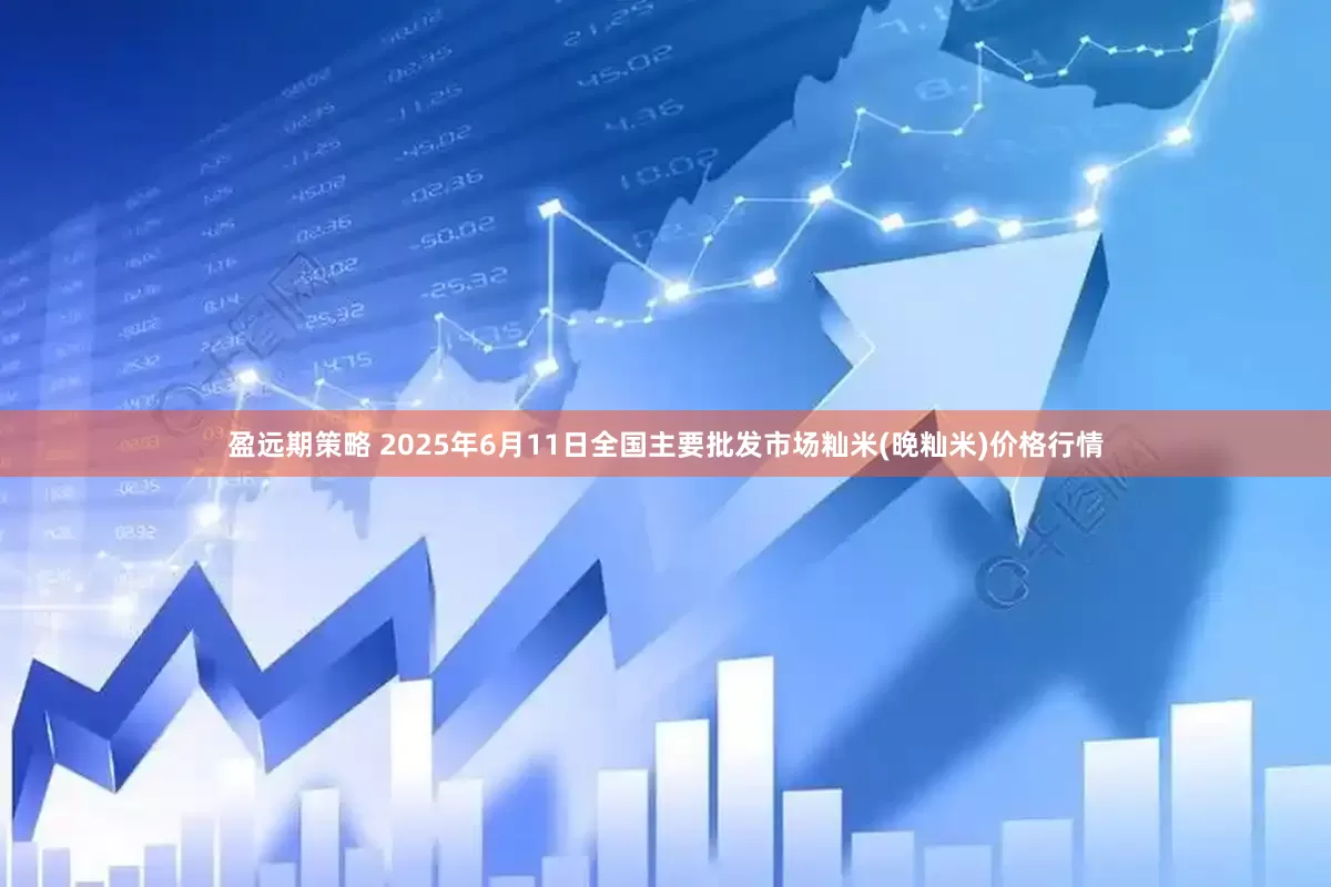 盈远期策略 2025年6月11日全国主要批发市场籼米(晚籼米)价格行情