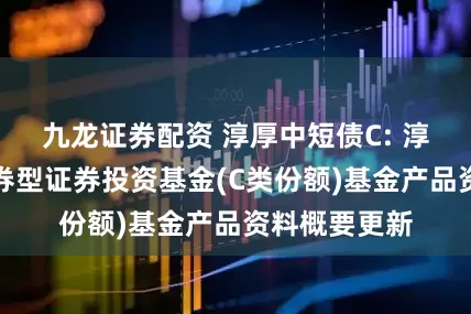 九龙证券配资 淳厚中短债C: 淳厚中短债债券型证券投资基金(C类份额)基金产品资料概要更新